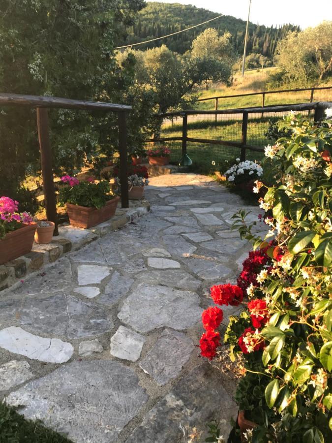 Salto Di Gatto