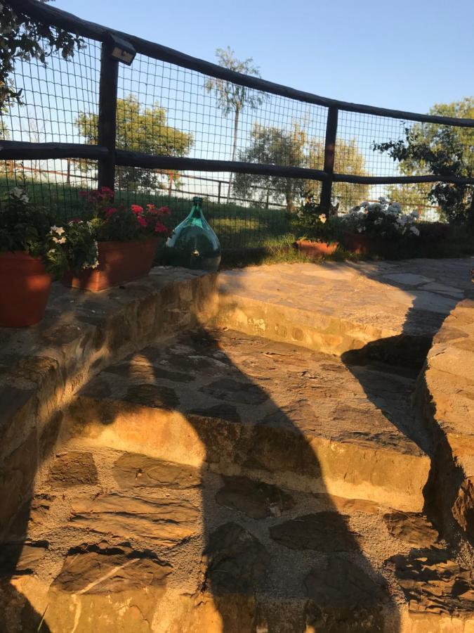 Holiday home Salto Di Gatto Castellina in Chianti