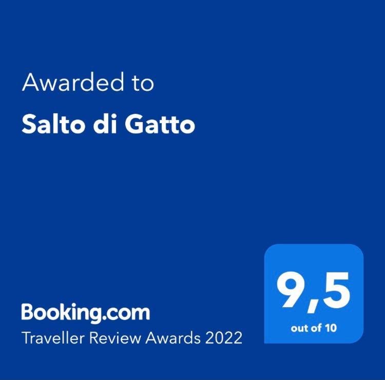 Salto Di Gatto *